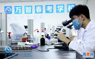 历城影视传媒的技术开发与创新探索